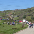 Cornites (209)